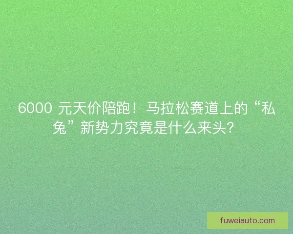 6000 元天价陪跑！马拉松赛道上的 “私兔” 新势力究竟是什么来头？